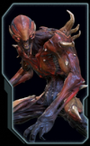 Imp Eternal Codex