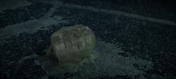 RobotmanHeadWaxed