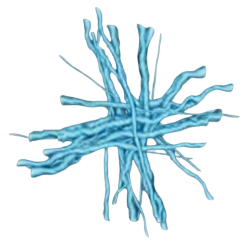 Rift | DOORS But Bad Wiki | Fandom