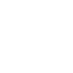 Items