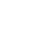 The flash image that appears when you don't have enough fuses.