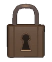 Lockbackdoor icon