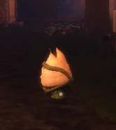 Upside down mandrake.png (39 KB) An upside down Mandrake that has been killed by The Groundskeeper.