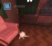 Squashgig.webp (17 KB) Ditto, but after the event.