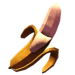 NANNER