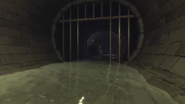 The Sewage Cells Clearer