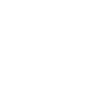The first A-1000 particle image.