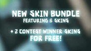The Voxel Bundle + 2 Item Skin Contest Skins