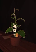 Herbandcandle.png (263 KB) A Candle spawning in the same position as the Green Herb, making the candle impossible to grab.