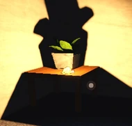 YummyDeliciousStardust.jpg (83 KB) Stardust found on a table in The Rooms.