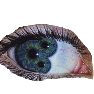 Hedge Maze eye asset.