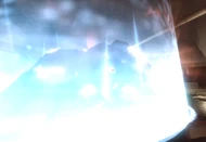 Ditto but closer up.