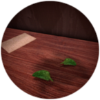 Can you get the herb healing into the rooms? : r/doors_roblox