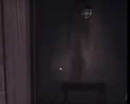 Shadow appearing inside The Mines.