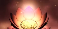 Using Lotus.png (943 KB) The animation when using a Lotus.