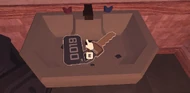 The Key in the toilet sink.