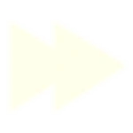 The Status effect you get when using the Vitamins.