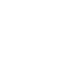 Backpack Icon