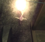 Ceiling giggle.jpg (841 KB) A Giggle on a curved rock ceiling.