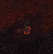 An inactive Pumpdrake.