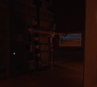 TheFigure t-posing before the library entrance is triggered.