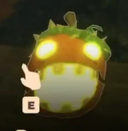 A Pumpdrake on the ground, detached from its vine.