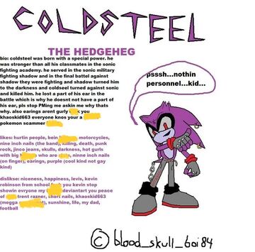 Coldsteel the Hedgehog MBTI Personality Type: XXXX or XXXX?