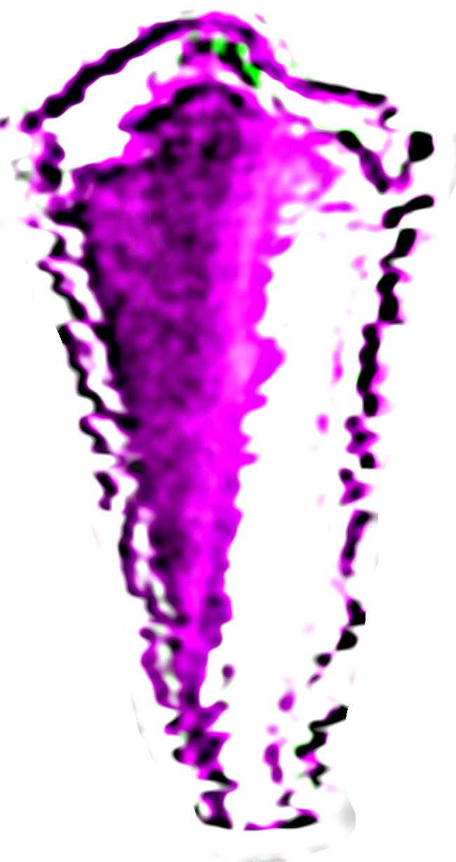 Screamers Doors Ideas Wiki Fandom