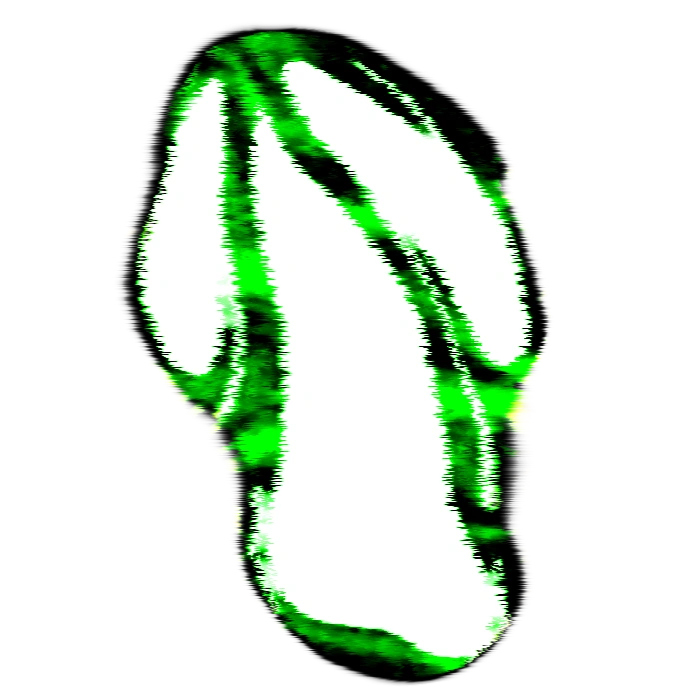 Barrier Doors Ideas Wiki Fandom