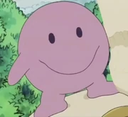 皮隆