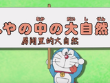房間裡的大自然