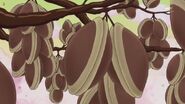 A dorayaki tree seen in the episode The Mystery of Goodie Land.