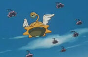 Yadorirace