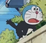 吃了一模一樣的寵物食品的貓2.jpg (43 KB)