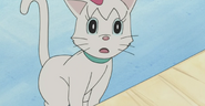 Shizuka as a cat