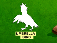 A umbrella bird is missing from the U page!