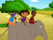lots of animals to see!
