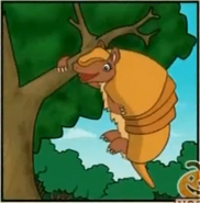 Does a three-banded armadillo swing from trees?