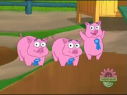 OINKY!!!