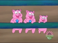 Time to dance! Look at the piggies GO!