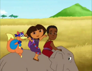 We're going on a safari,