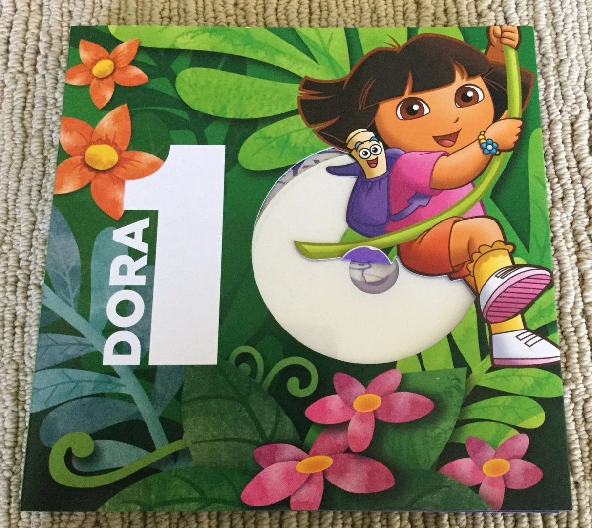 10th ANNIVERARY Press Kit DVD | Dora the Explorer Wiki | Fandom