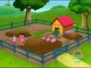 (Neither do the piggies)