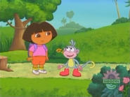 "Dora,