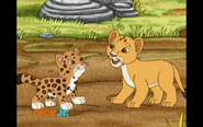 Lion Cub and Baby Jaguar