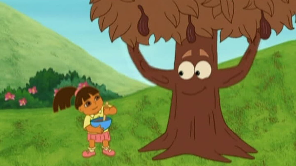 The shop chocolate tree
