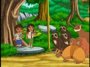 "HI, ARMADILLO!"