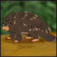 Do porcupines have feathers