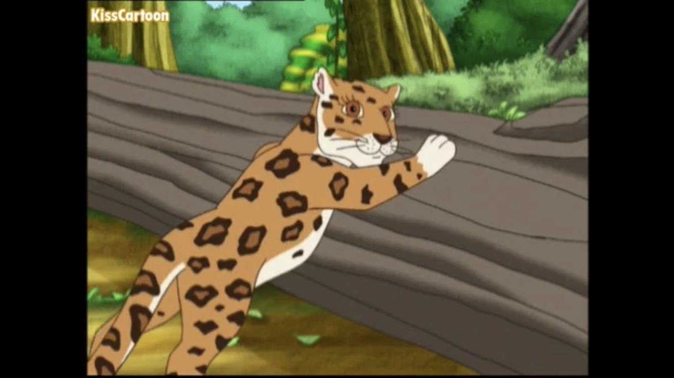 go diego go baby jaguar