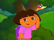 We're all looking for Swiper!